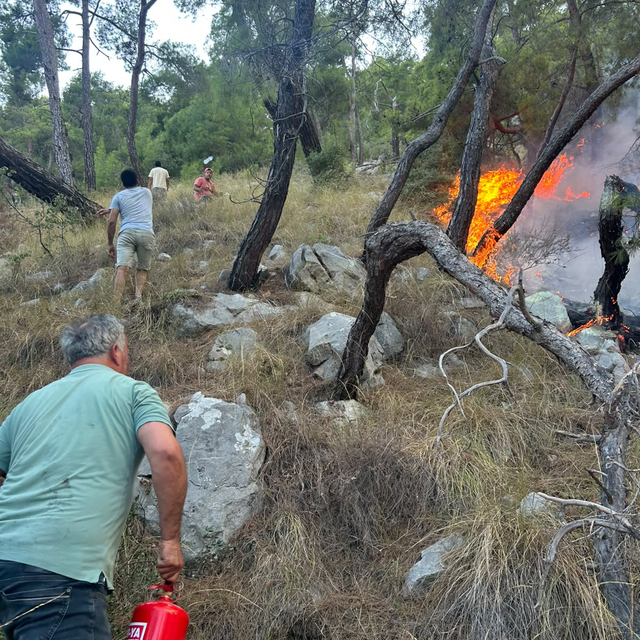 Antalya'da orman yangını (3)