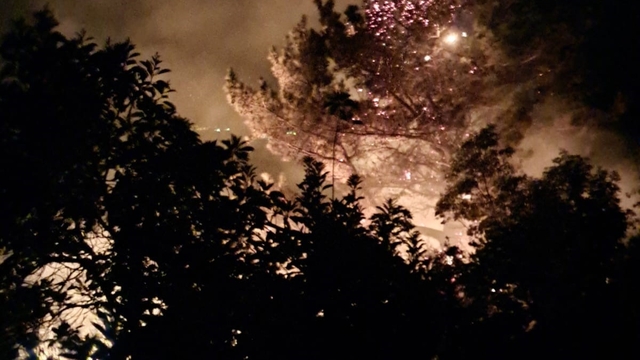 Alanya'da gece saatlerinde çıkan orman yangını kontrol altına alındı