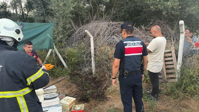 Bilecik'te ot ve çalılık yangını büyümeden söndürüldü