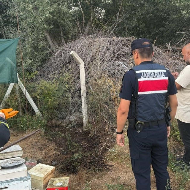 Bilecik'te ot ve çalılık yangını büyümeden söndürüldü