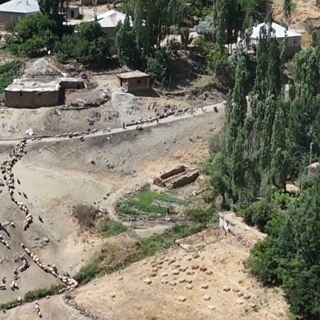 Besiciler, koyunlarını her gün 3 kilometre uzaklıktaki çeşmeye yürütmek zor...