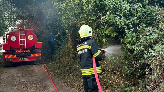 Muğla'da korkutan ot yangını: 30 metrekare alan zarar gördü