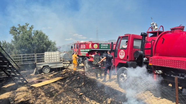Antik kente yakın zeytinlik alanda yangında 1,25 dönüm zarar gördü