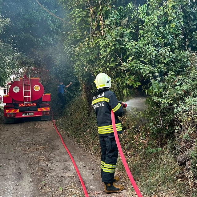 Muğla'da korkutan ot yangını: 30 metrekare alan zarar gördü