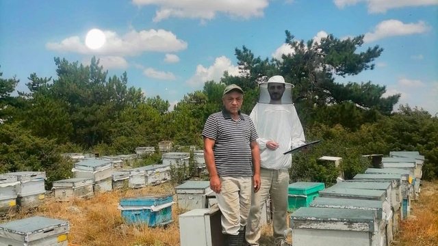 İscehisar'da arılı kovanların tespiti için saha çalışması