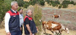 Elazığ' Kırsalda Bereket, Hayvancılığa Destek Projesi sürüyor