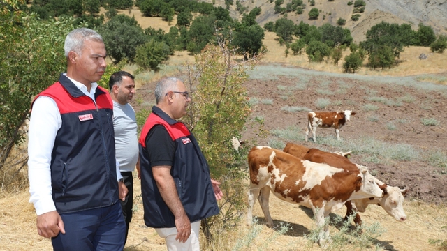 Elazığ' Kırsalda Bereket, Hayvancılığa Destek Projesi sürüyor