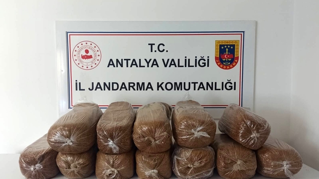 Antalya'da üç ilçede kaçak tütün operasyonu: 785 kilogram tütün ele geçirildi
