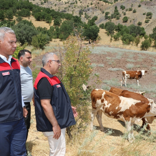 Elazığ' Kırsalda Bereket, Hayvancılığa Destek Projesi sürüyor
