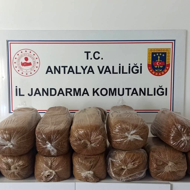 Antalya'da üç ilçede kaçak tütün operasyonu: 785 kilogram tütün ele geçiril...