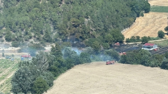 Bilecik'te ormanlık alanda yangın çıktı