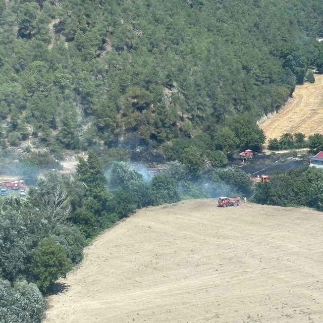 Bilecik'te ormanlık alanda yangın çıktı