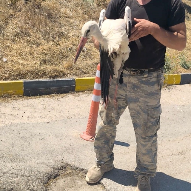 Eskişehir Büyükşehir Belediyesi çöplüğünde bacağı kırık halde bulunan leyle...