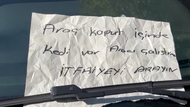 Burdur'da hayat kurtaran not: Aracın motor kısmına giren yavru kedi kurtarıldı
Duyarlı bir vatandaşın bıraktığı "Aracı çalıştırma, itfaiyeyi ara" notu sayesinde motor bölümüne giren yavru kedi, itfaiye ekiplerince kurtarıldı