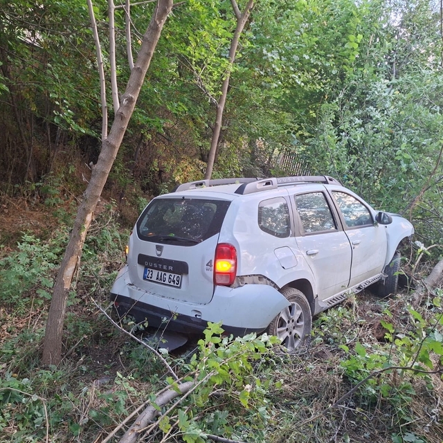 Bingöl'de otomobil bahçeye uçtu: 2 yaralı