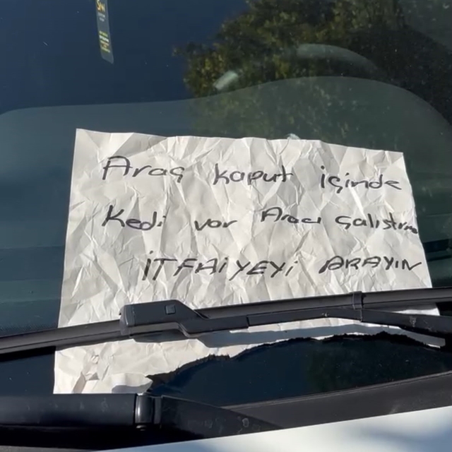 Burdur'da hayat kurtaran not: Aracın motor kısmına giren yavru kedi kurtarı...