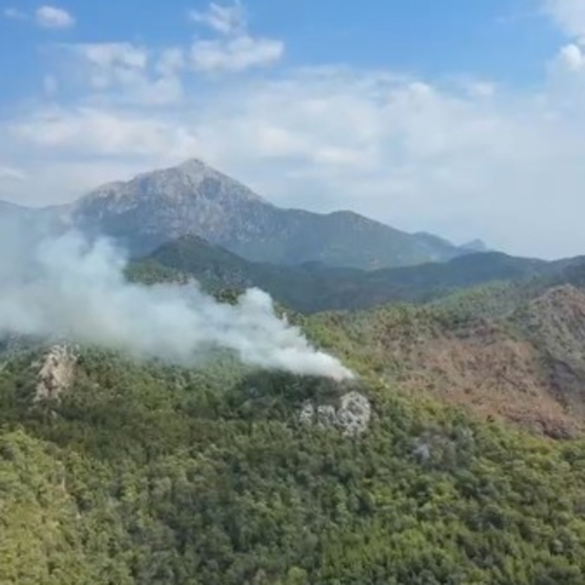 Kemer'de orman yangını