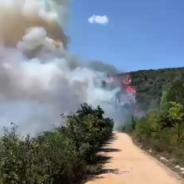 Kocaeli'de ormanlık alanda yangın: Bölgeye ekipler sevk edildi