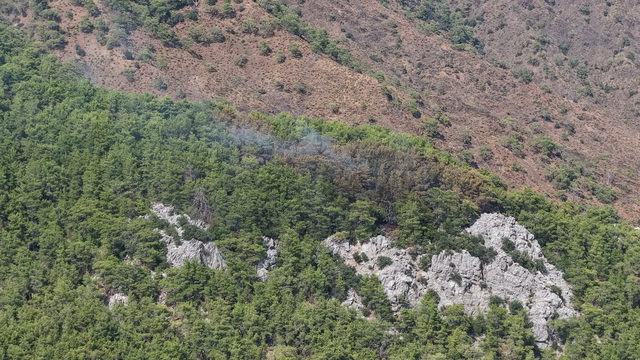 Antalya'da orman yangını (2)