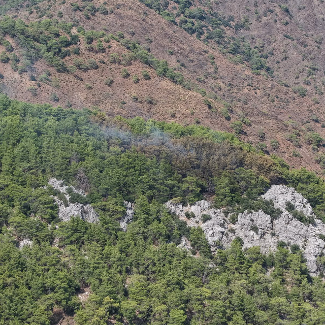 Antalya'da orman yangını (2)