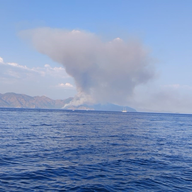 Marmaris'te orman yangını