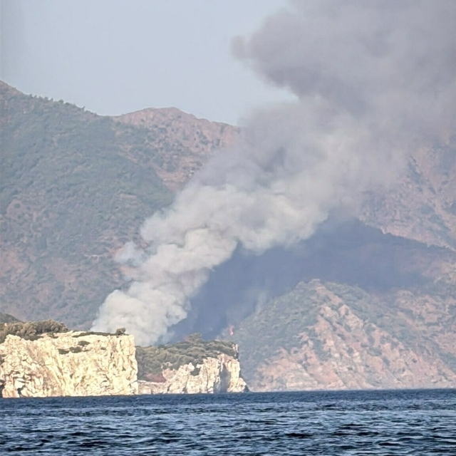 Marmaris'te orman yangını