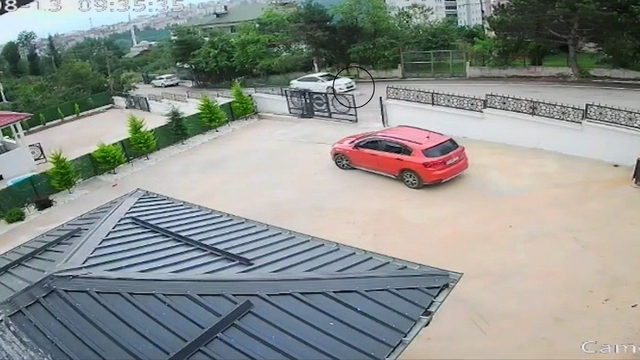 Ordu'da otomobilin çarptığı köpek öldü; 10 yaşındaki kız bayıldı