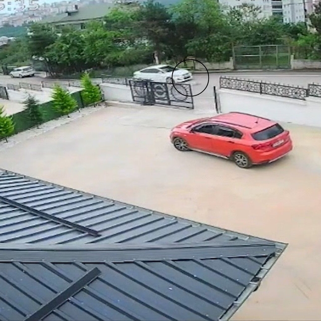 Ordu'da otomobilin çarptığı köpek öldü; 10 yaşındaki kız bayıldı