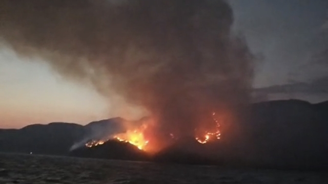 Marmaris'te orman yangını (3)