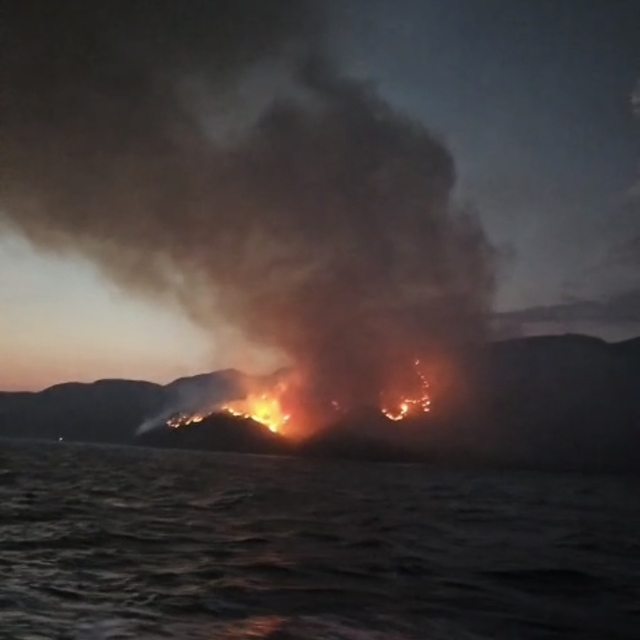 Marmaris'te orman yangını (3)