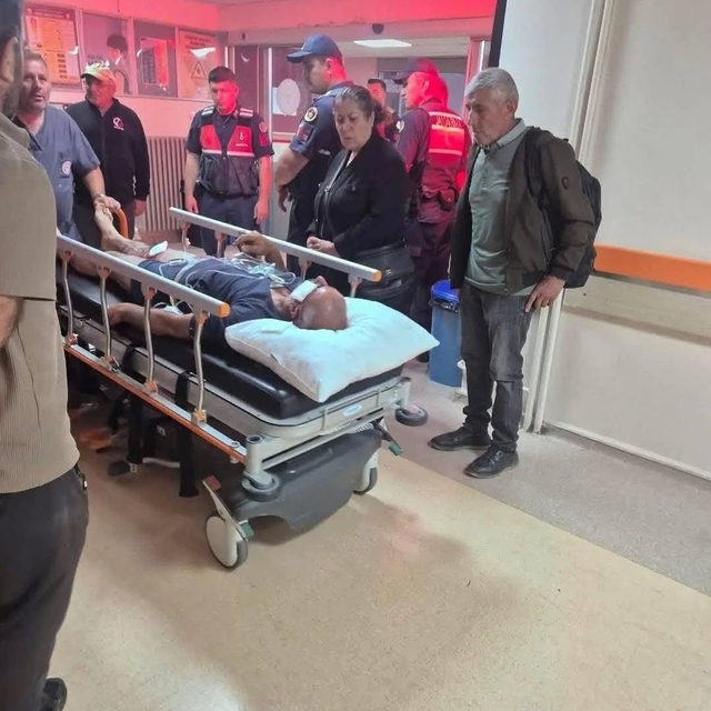 Ayı saldırısına uğradı, köpekleri sayesinde kurtuldu