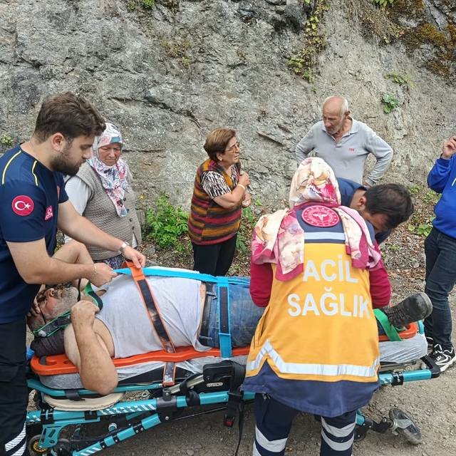 Artvin'de düştükleri bölgede mahsur kalan 2 kişi kurtarıldı