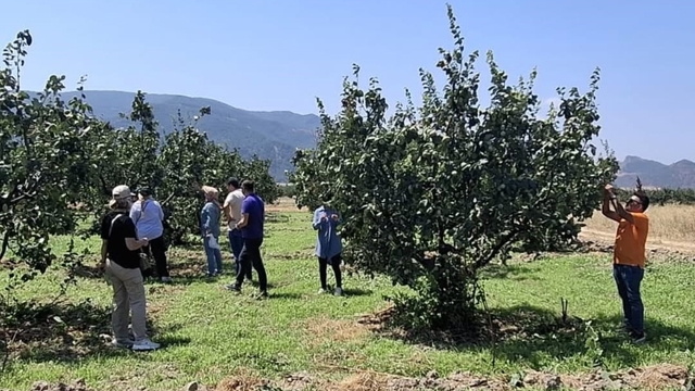 Bilecik'te bitki hastalıkları ve zararlılara karşı saha kontrolü