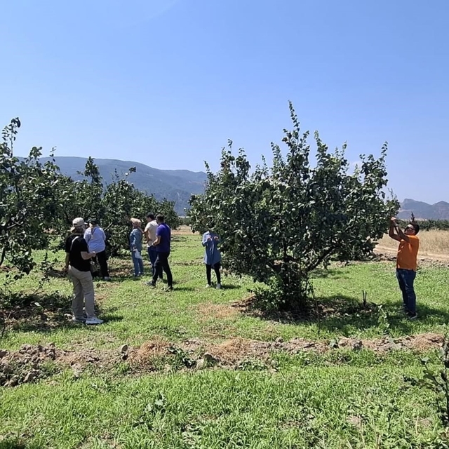 Bilecik'te bitki hastalıkları ve zararlılara karşı saha kontrolü