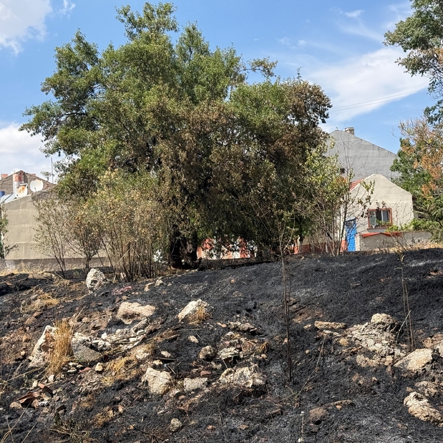 Çocukların torpille oyunu yangına sebep oldu
Boş arazide çıkan yangında bad...