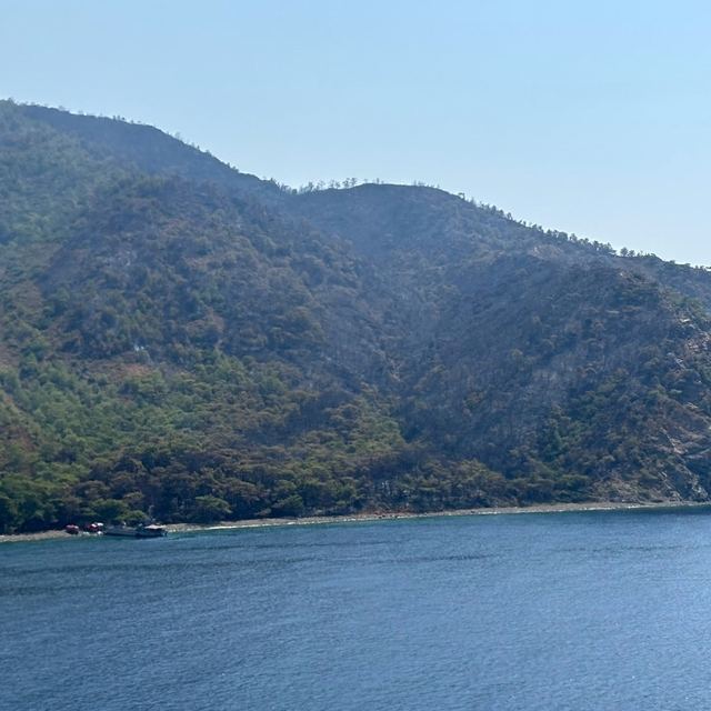 Marmaris'teki orman yangını kontrol altına alındı