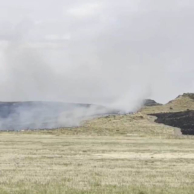 Ahlat-Tatvan yolunda otluk alanda yangın paniği
