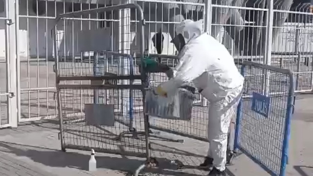 Kayseri'de stadyumda maç öncesi arı sürprizi