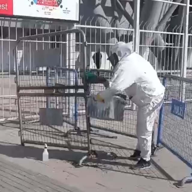Kayseri'de stadyumda maç öncesi arı sürprizi