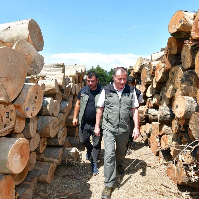 Bandırma Orman İşletme Müdürlüğündeki çalışmalar yerinde incelendi