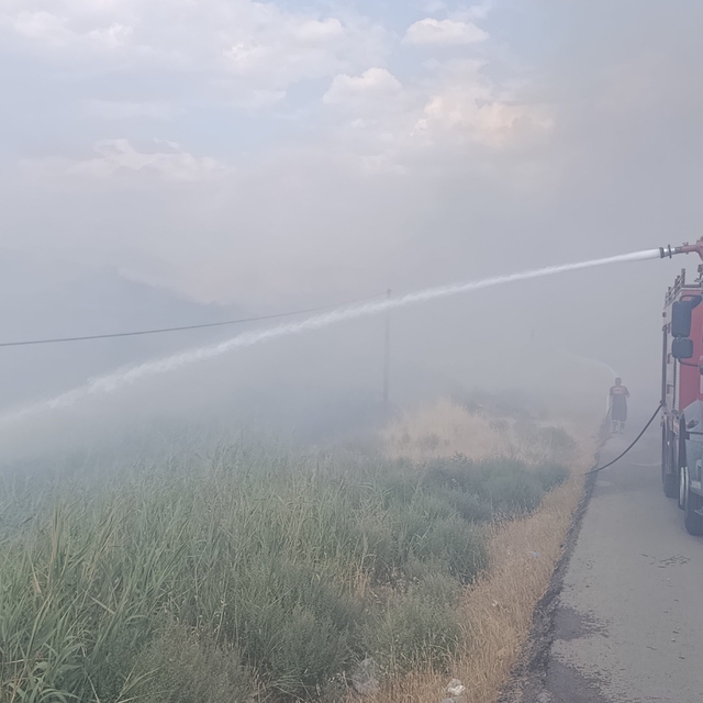 Siirt Üniversitesi Kezer yerleşkesi yakınlarında örtü yangını: 100 dönümden...