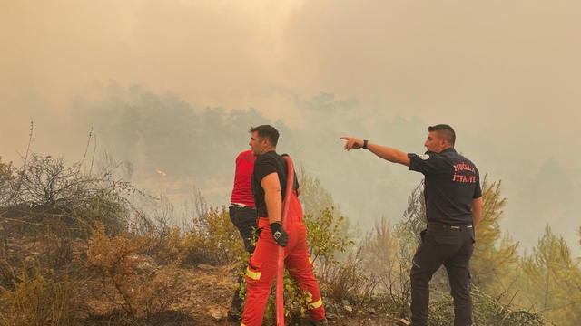 Muğla'daki her 10 yangından 7'si insan kaynaklı