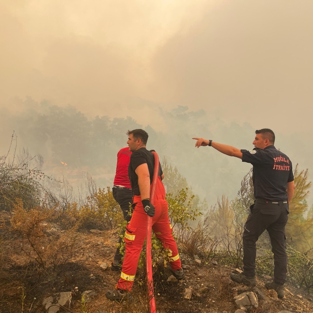 Muğla'daki her 10 yangından 7'si insan kaynaklı