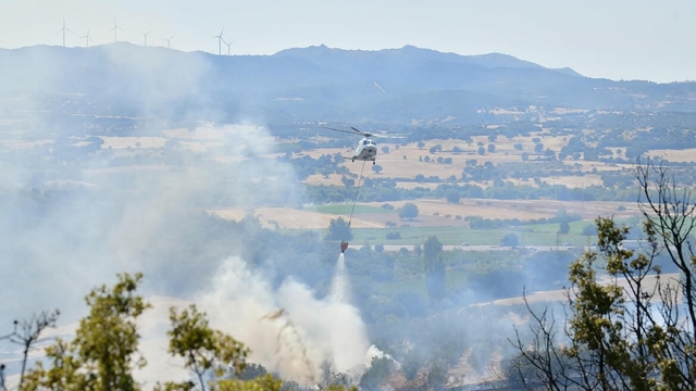 Çanakkale'de orman yangını (2)