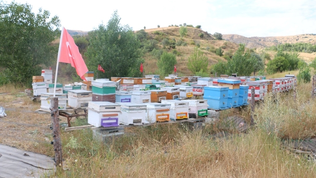 Erzincan'da arıcılık ve vatan sevgisi aynı arılıkta buluştu