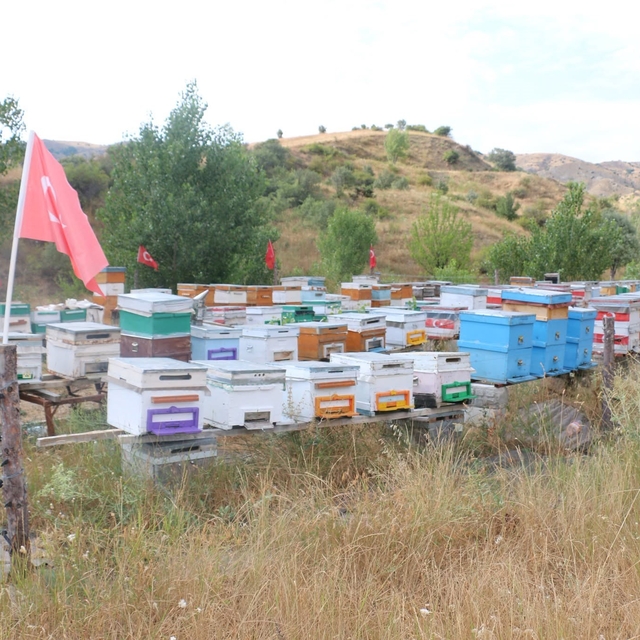 Erzincan'da arıcılık ve vatan sevgisi aynı arılıkta buluştu