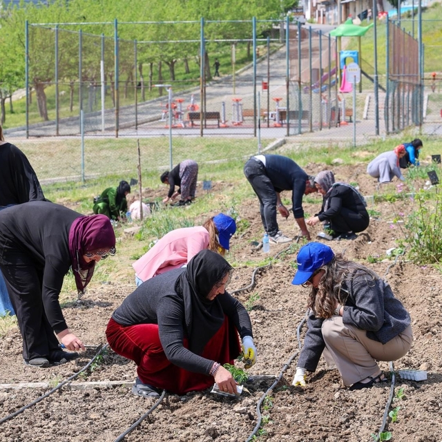 Toprakta hayat, sofrada bereket: Mahalle Bostanları'nda yaz hasadı