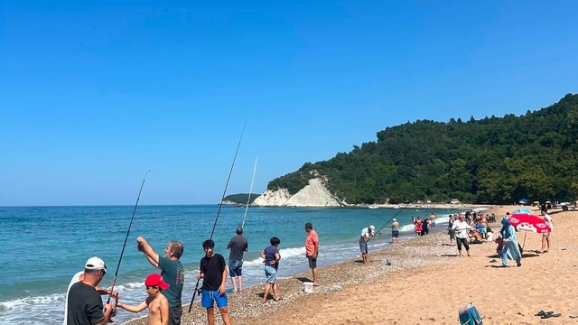 İstavrit kıyıya yaklaşınca plaj balık tutanlarla doldu