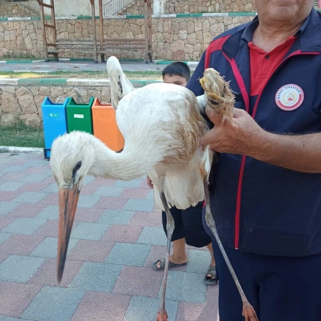 Reyhanlı'da yaralı leylek ekipler tarafından kurtarıldı