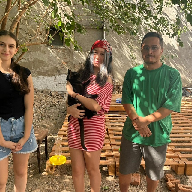 Sokak kedileri için 'mahalle' projesi; 13 yaşındaki Bade'den su ve mama kab...